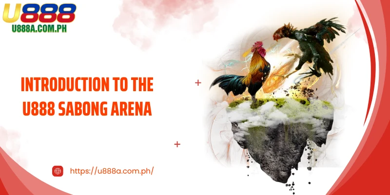Introduction to the U888 Sabong Arena