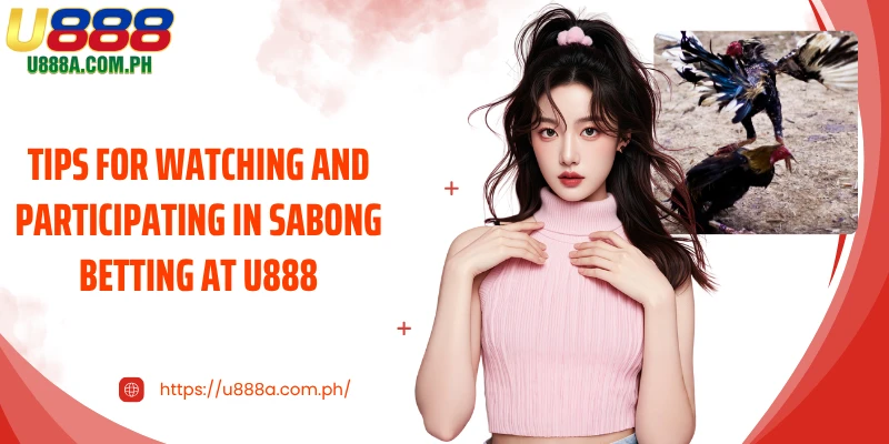 Tips for watching and participating in Sabong betting at U888