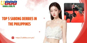 Top 5 Sabong Derbies In The Philippines At U888 In 2025