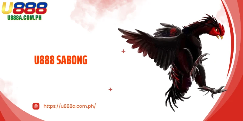 U888 Sabong: Thrilling Matches and Big Winning Opportunities